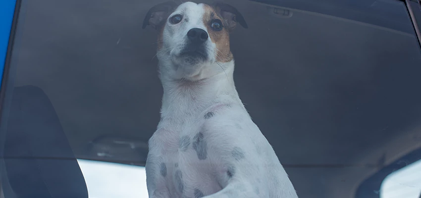 Car Lockout Solutions in San Rafael, California